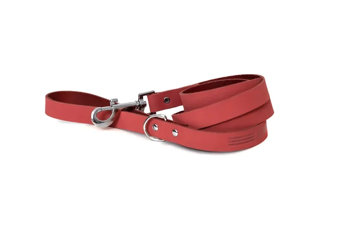 Modern Style Coral Reef Leather Leash