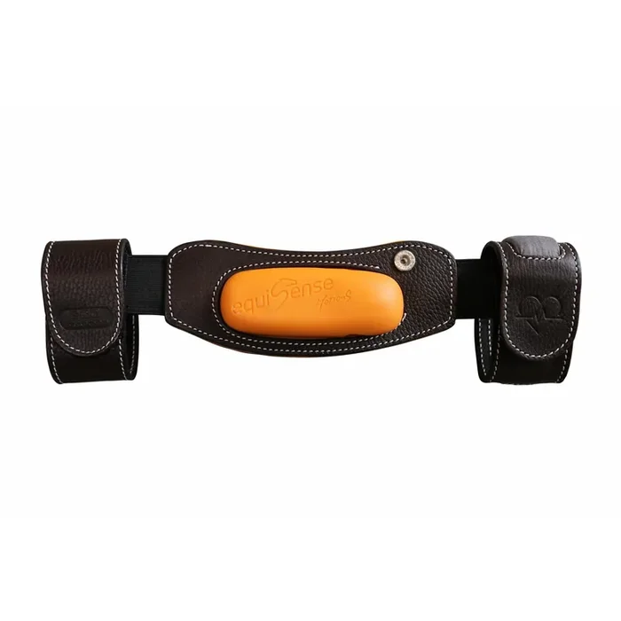 Motion s horse sensor Stübben Equisense
