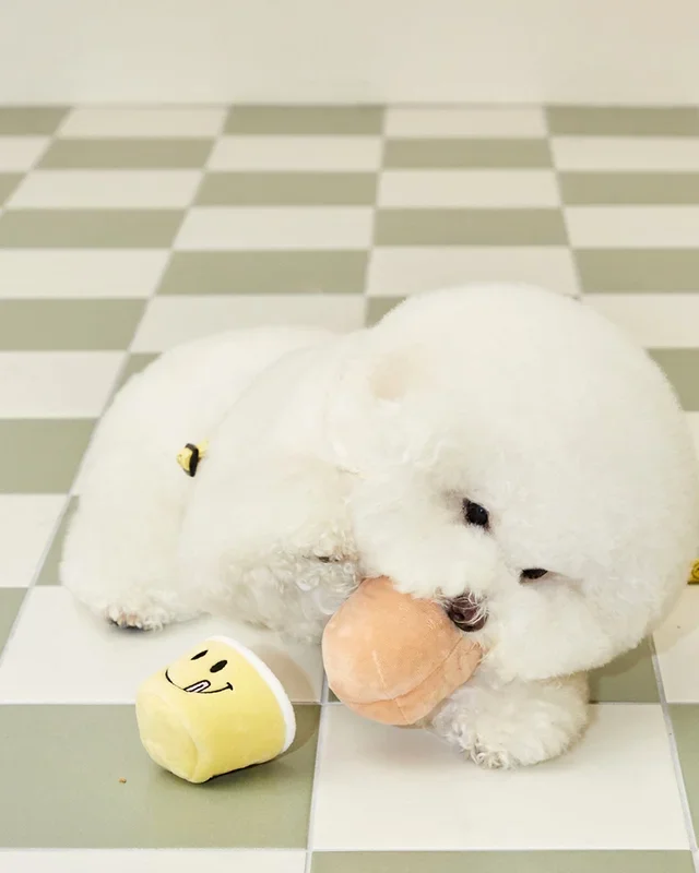 Muffin Nosework Toy