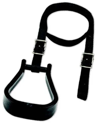 Mustang’s Mounting Stirrup