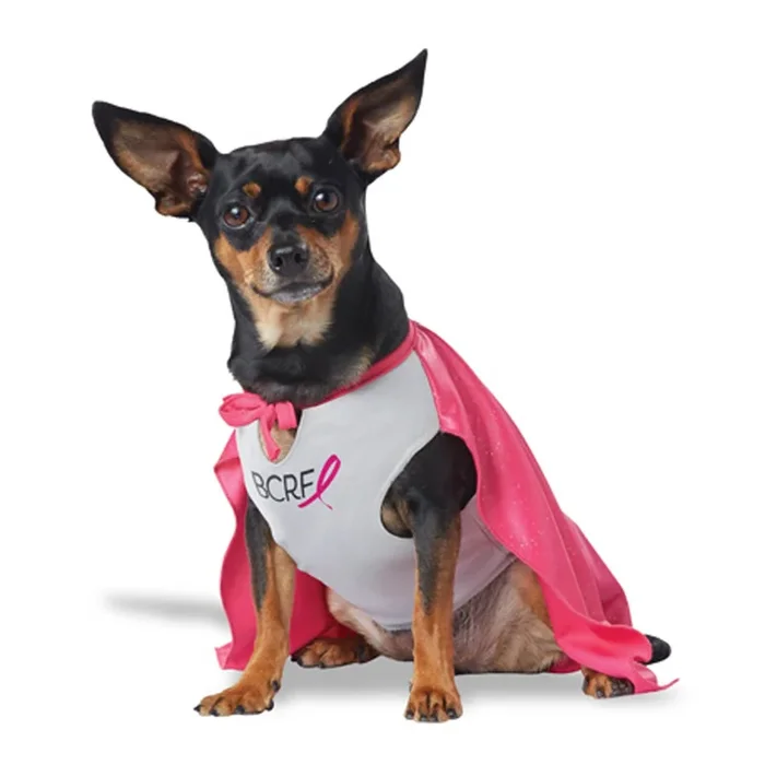 My BCRF Hero Dog Costume – Pink