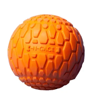 N-Gage Squeeker Ball Fetching Dog Toy