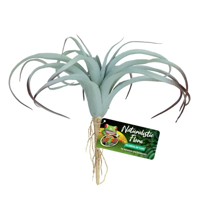 Naturalistic flora tillandsia air plant Zolux Zoo Med