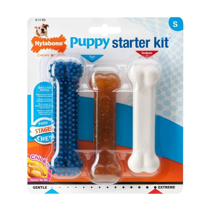 Nylabone Puppy Bone Starter Kit