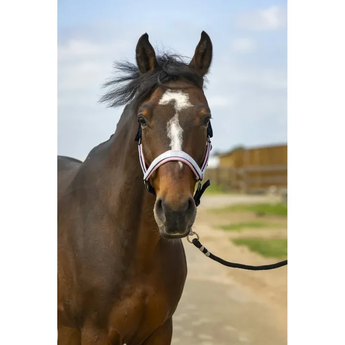 Nylon check halter Equithème