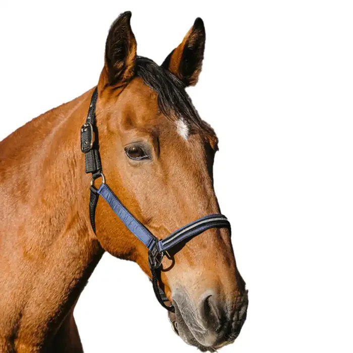 Nylon horse halter Equithème Domino [Size Horse]