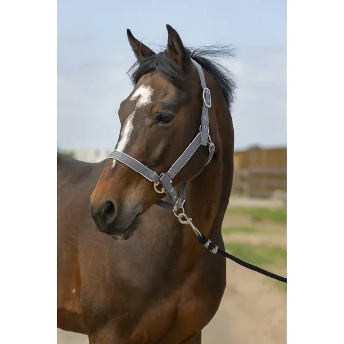 Nylon horse halter Equithème light