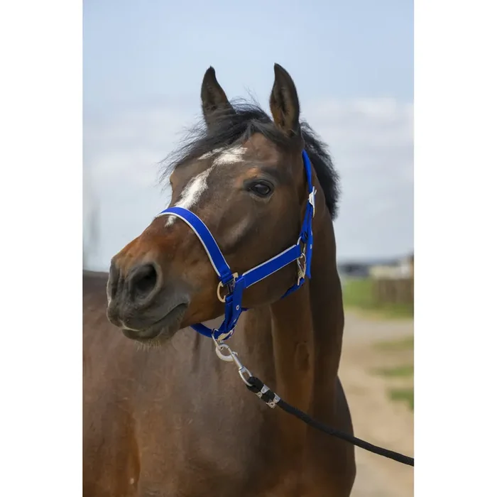 Nylon horse halter Equithème light