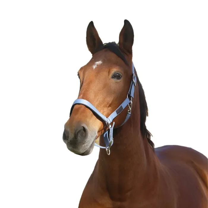 Nylon horse halter Equithème Spring [Size Horse]