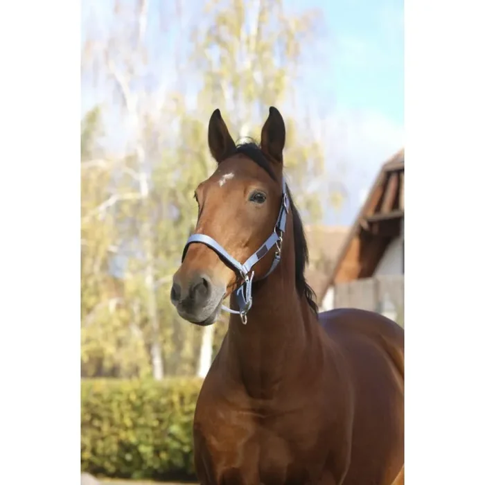 Nylon horse halter Equithème Spring [Size Horse]