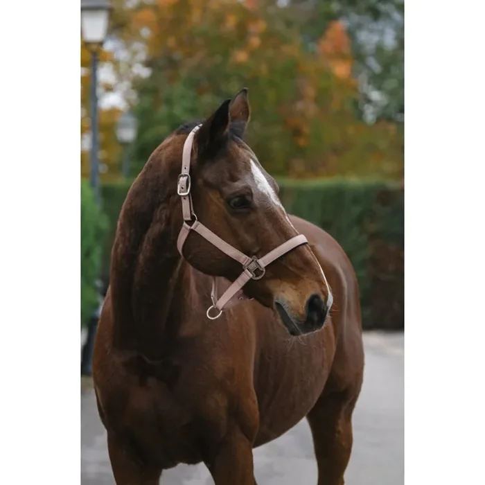 Nylon horse halter Equithème Spring [Size Horse]