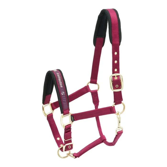 Nylon horse halter Kieffer Collection