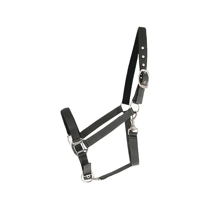 Nylon lined halter for horses Canter