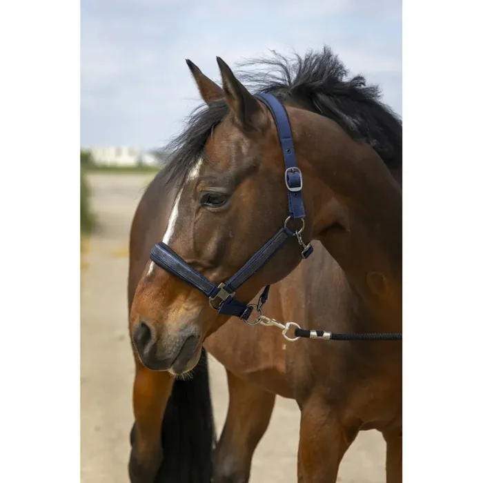 Nylon rhinestone halter for horses Equithème