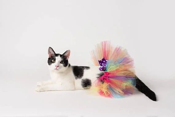 One Of A Kind Teacup Pet Tutus