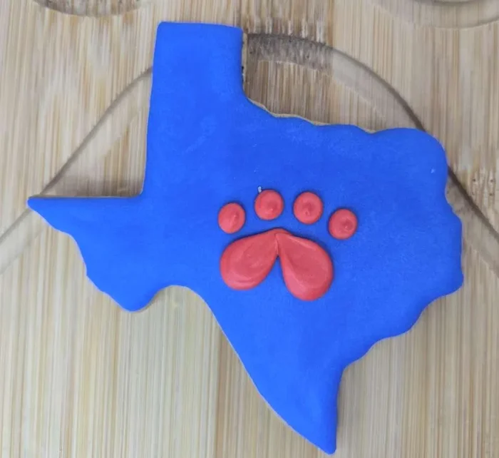 Organic Decorated 4th of July Treats