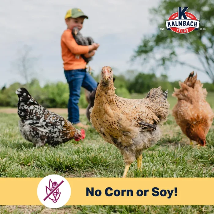 ORGANIC Kalmbach Feeds NO SOY NO CORN Henhouse Reserve 16% Complete Layer Feed for Hens, 30 lb