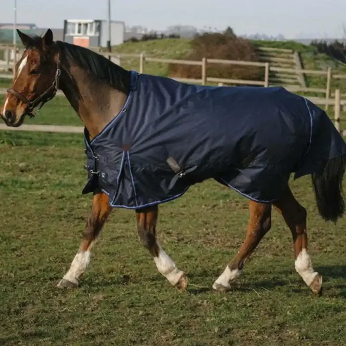 Outdoor horse blanket Equithème Classic 600D 0 g