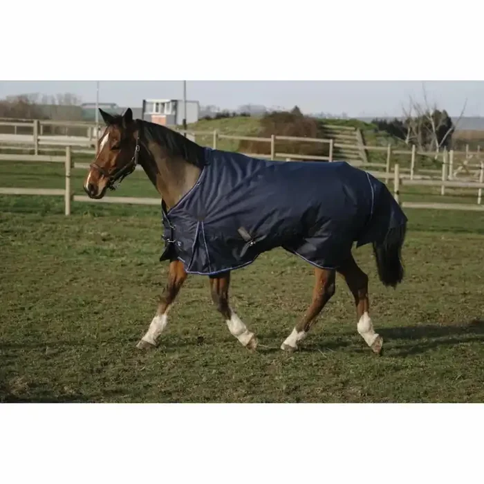 Outdoor horse blanket Equithème Classic 600D 50 g