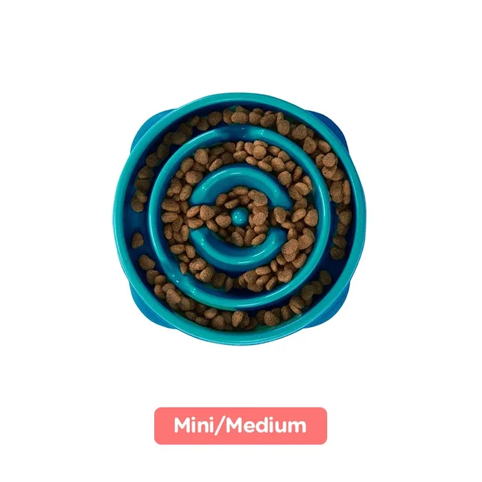 Outward Hound Fun/Slow Feeder For Dogs – Mini/Medium (Teal)