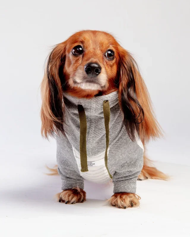 Oxford Stripe Dog Funnel Neck Pullover((CLEARANCE)