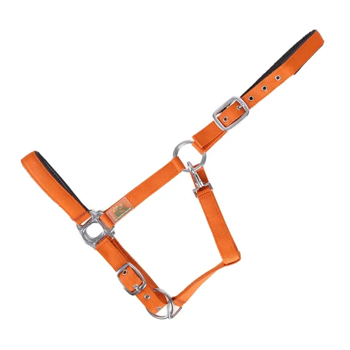 Padded horse halter USG Everyday