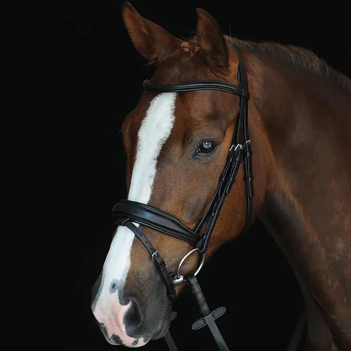 Padded riding bridles Weatherbeeta Collegiate Mono Crown