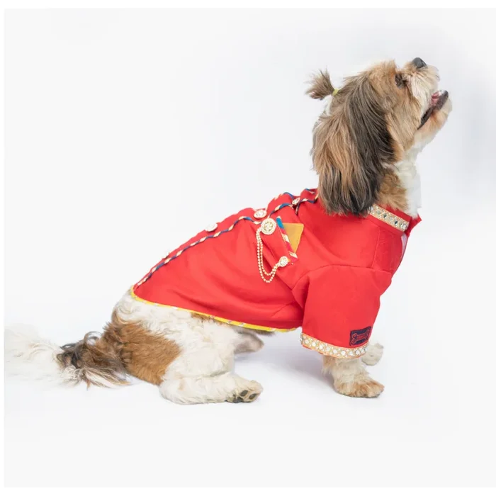 Pawgypets Raw Silk Sherwani for Dogs and Cats (Red)