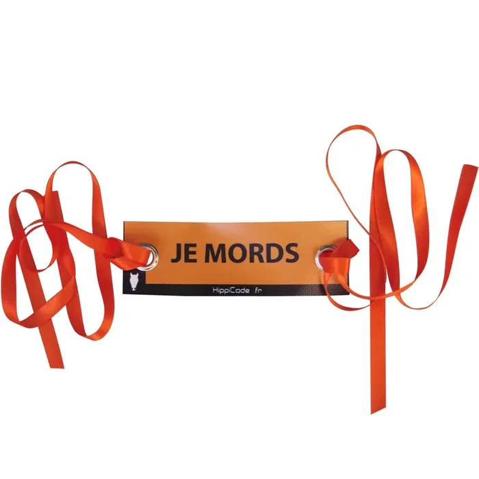 Pennants Hippicode with eyelets “je mors