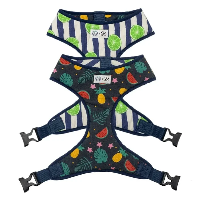 Pet And Parents Fresh Fruit Reversible Harness for Dogs
