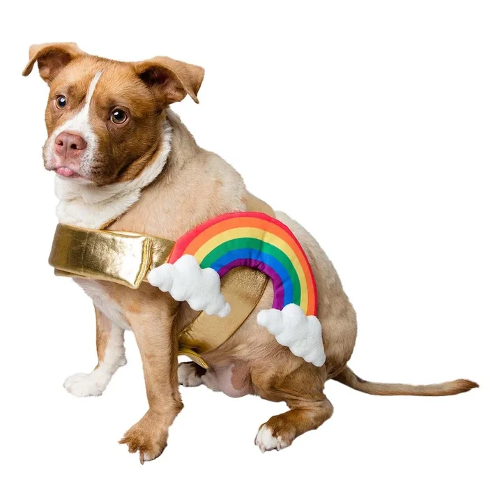 Pet Krewe Rainbow Dog Costume