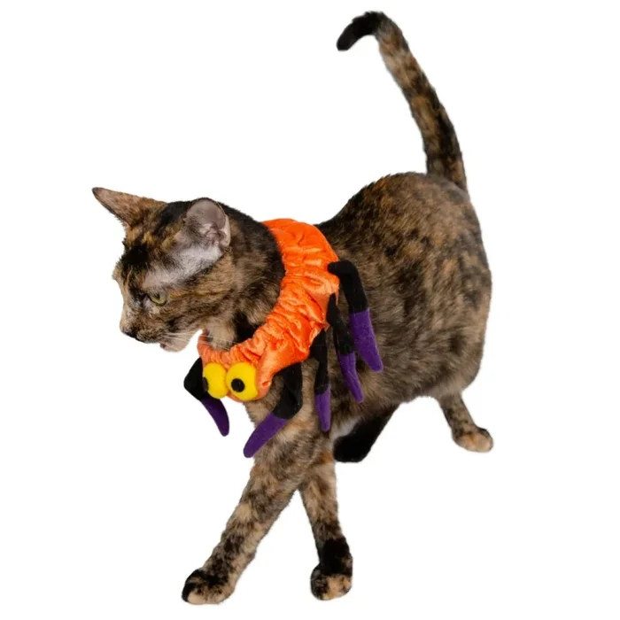 Pet Krewe Spider Collar Cat & Dog Costume