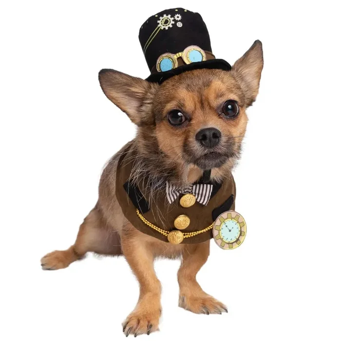 Pet Krewe Steam Punk Dog Costume