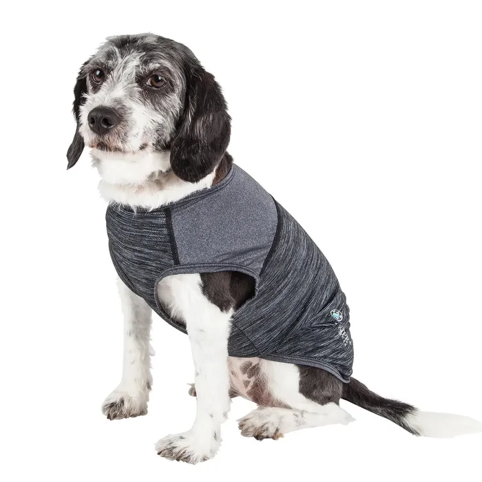 Pet Life ACTIVE Aero-Pawlse Heathered Dog Tank Top T-Shirt – Black