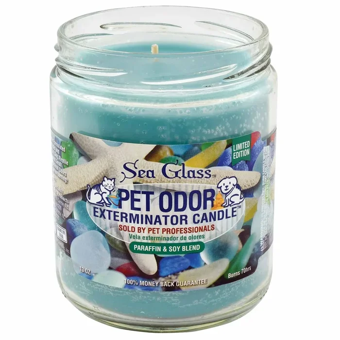 Pet Odor Exterminator Candle, Sea Glass, 13 oz