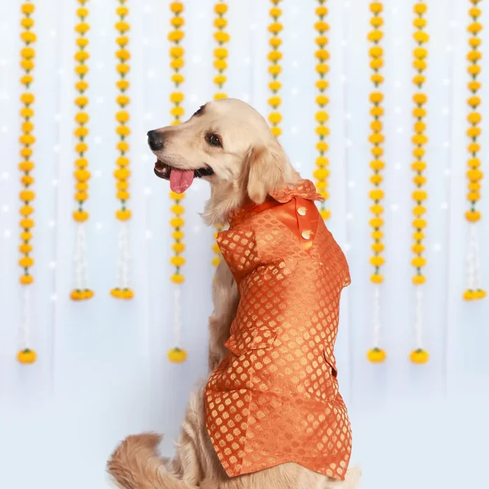 Pet Set Go Kurta with Bowtie for Dogs (Orange)