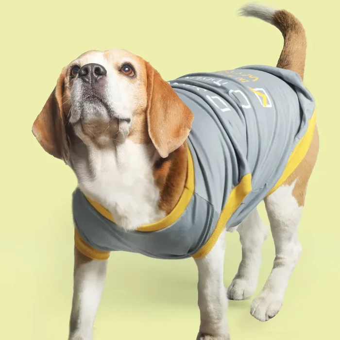 Pet Set Go Single Taken In Relationship Sleeveless Tshirt for Dogs (Grey)