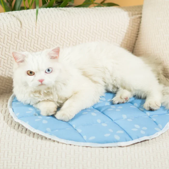 Pet Set Go Sky Bloom Mat for Cats (Blue)