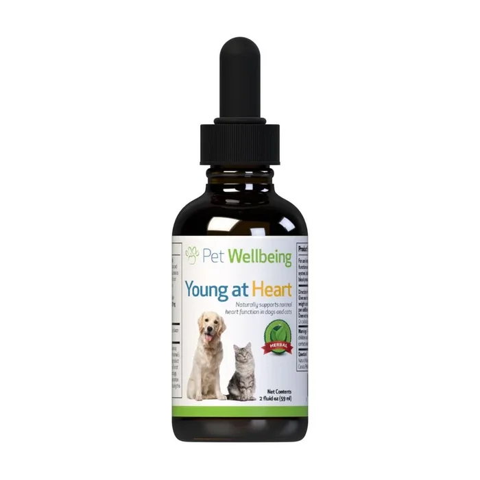 Pet Wellbeing Young at Heart Dog Supplement