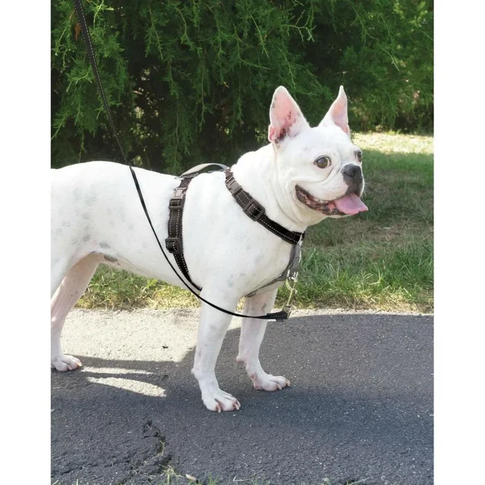 PetSafe 3 in 1 Dog Harness with 2 Point Control Leash – Black