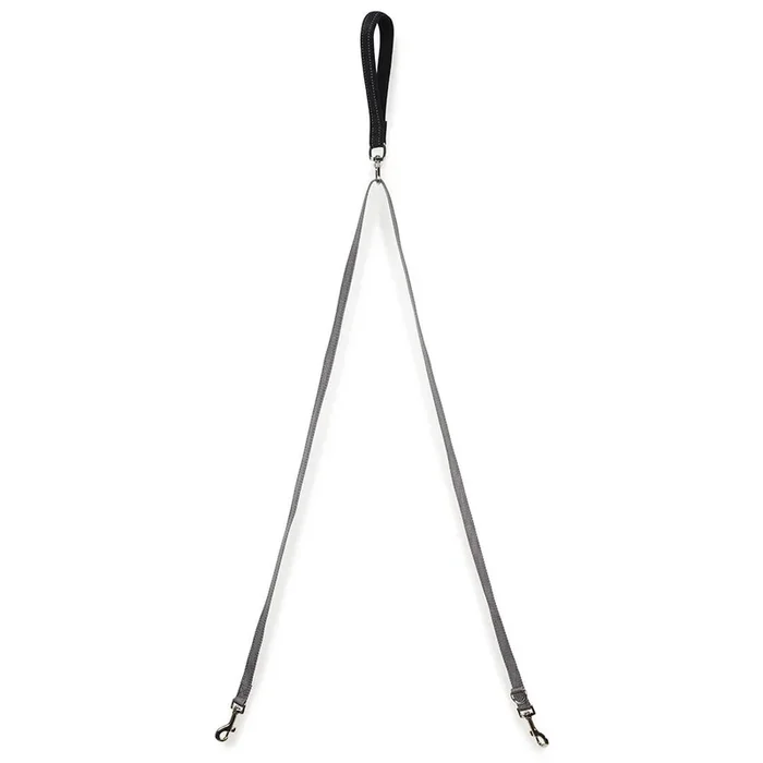 PetSafe Two-Point Control Dog Leash