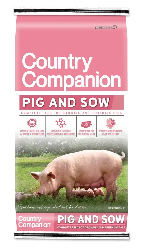 Pig And Sow Feed
