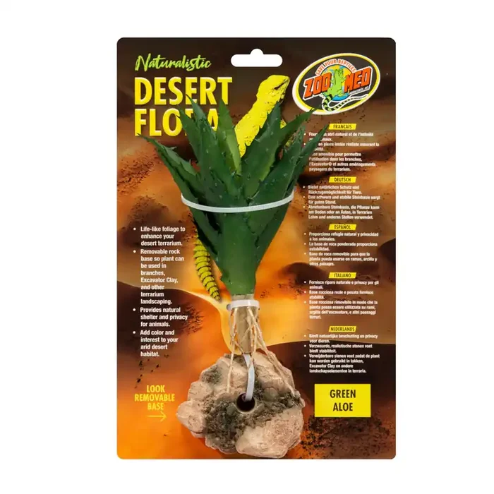 Plant terrarium accessories Zoomed Aloe