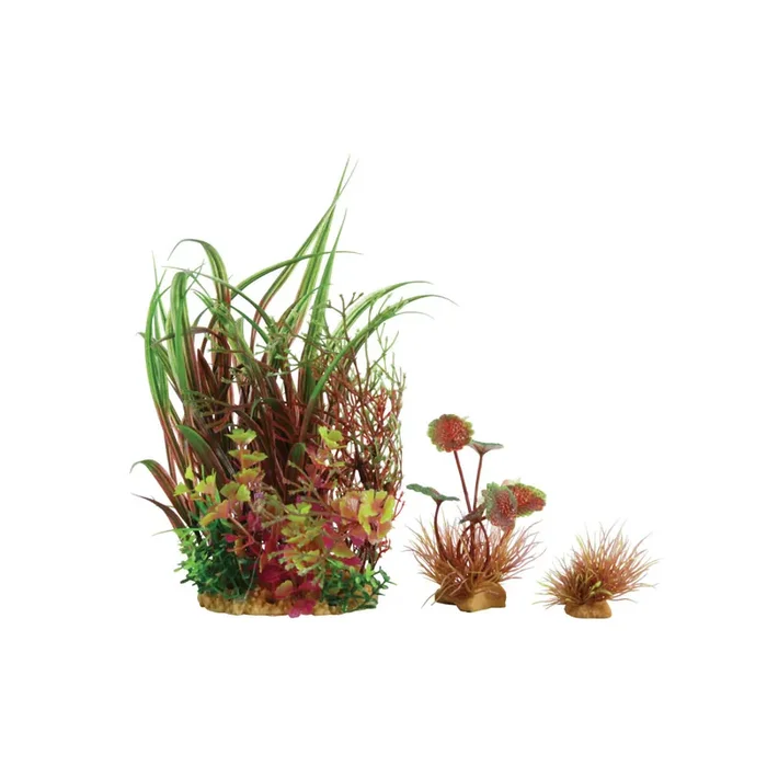 Plantkit decoration Zolux Wiha n°3 (x3)