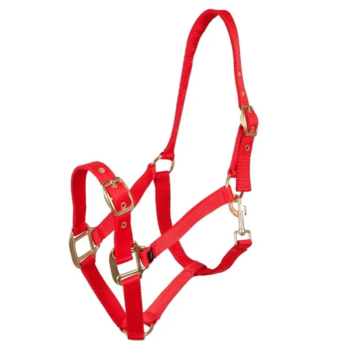 Polypropylene halter Premiere Equitation