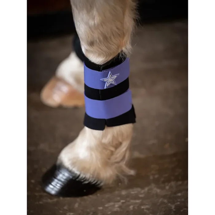 Pony gaiters LeMieux Mini [Size XS]