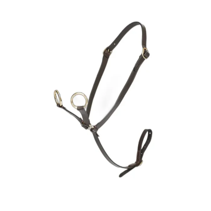 Pony martingale LeMieux