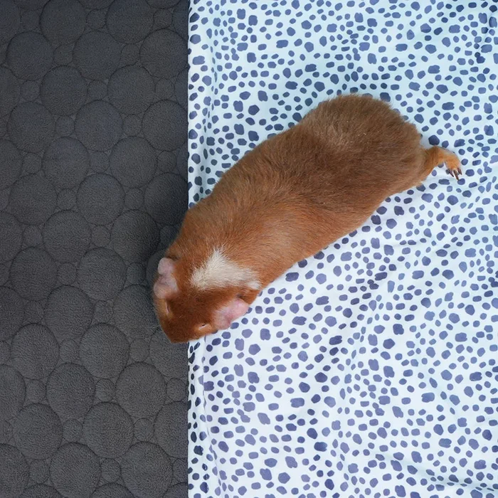 Premium Fleece Liner for Guinea Pigs | Dalmatian