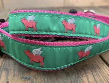 Preston Collars, Flying Pigs
