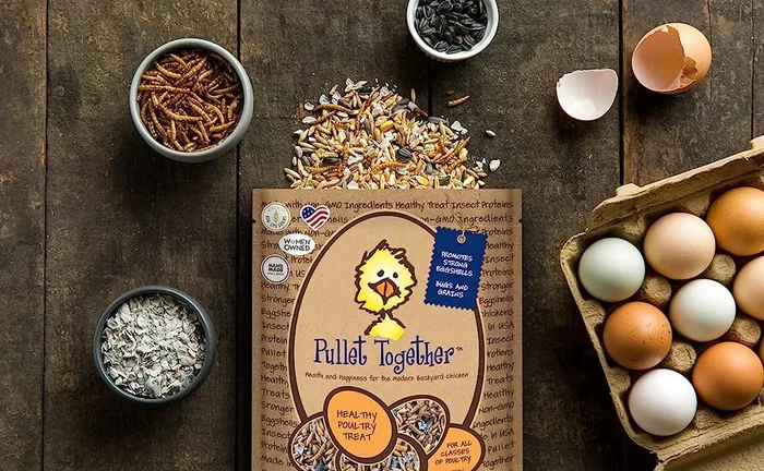 Pullet Together Organic Non-GMo Chicken Treat 5lb